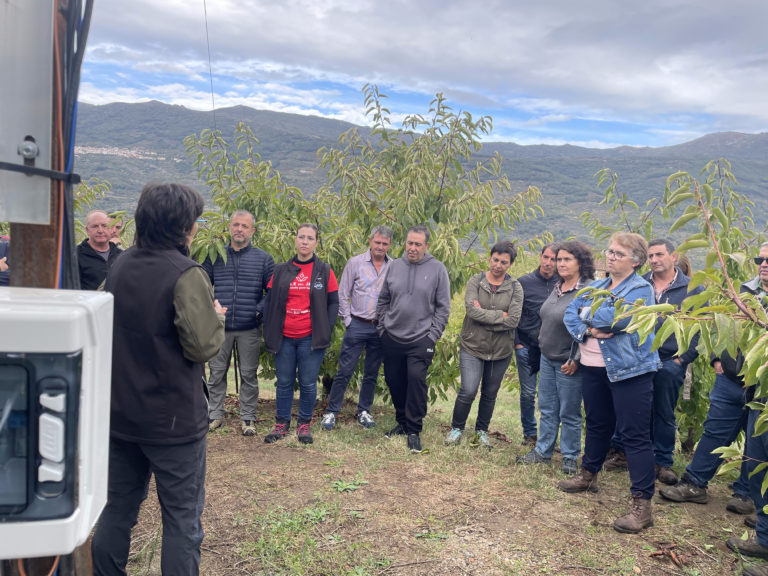 Lee más sobre el artículo El Valle del Jerte se digitaliza para un riego más inteligente y sostenible